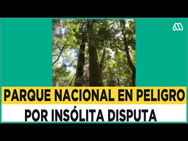 ¿Parque nacional o sitio privado?: Terreno protegido es reclamado por privados