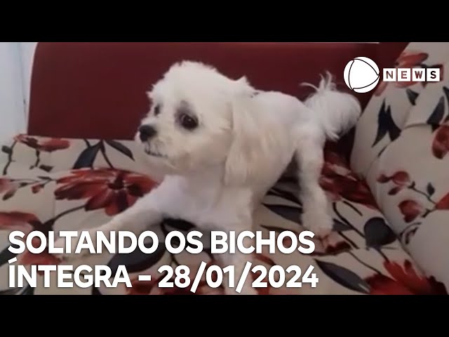 Soltando os Bichos - 28/01/2024