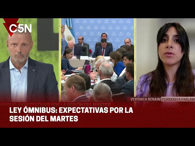 LEY ÓMNIBUS: EXPECTATIVAS por la SESIÓN del MARTES