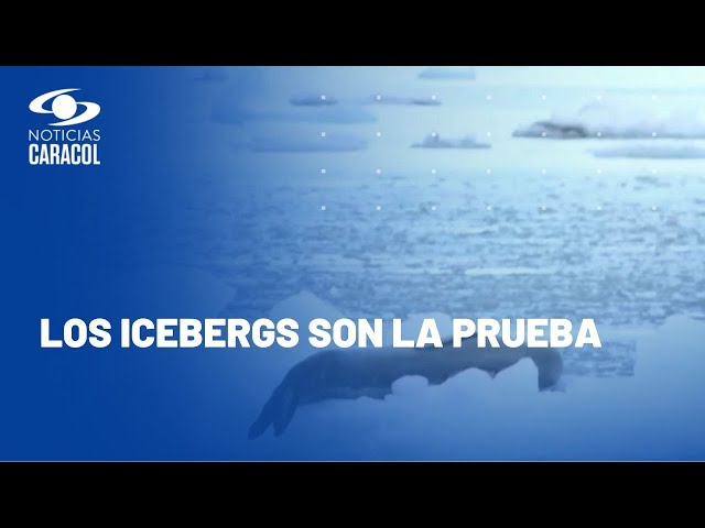 Expedición Antártica encontró que el continente blanco se está calentando a un ritmo acelerado