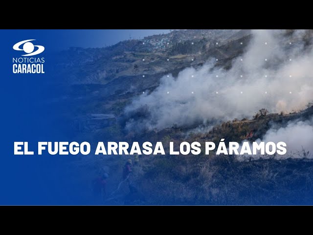 Páramos, el tesoro hídrico de Colombia que se consume por el fuego