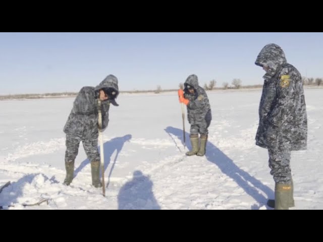 Атырау облысында балықтарға ауа жіберу жұмысы басталды