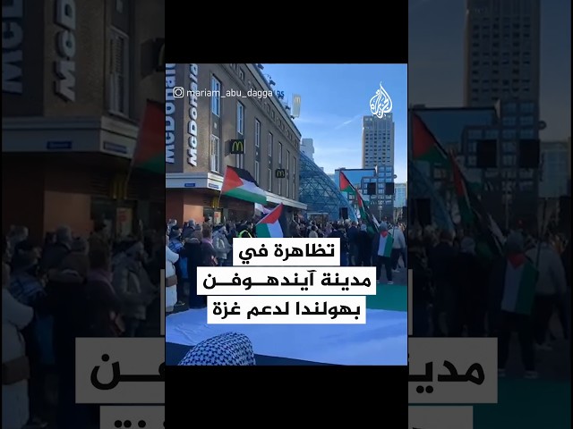 هولندا.. متظاهرين خرجوا دعما لغزة والفلسطينيين بمدينة آيندهوفن