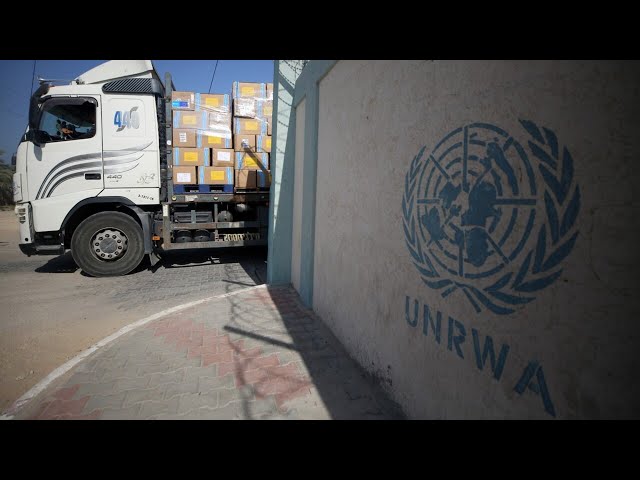 Pausing funding to UNRWA ‘not sufficient': Andrew Bolt