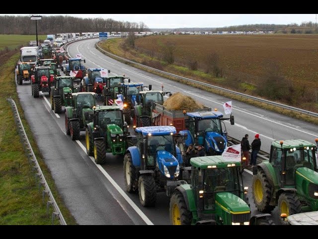 Бельгія: протест фермерів BELGIUM: FARMERS PROTEST