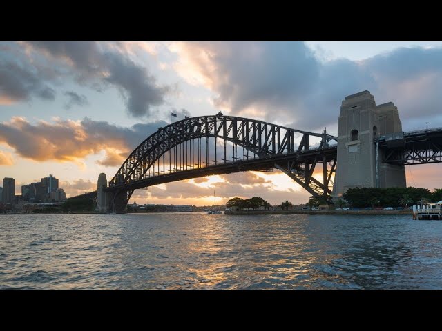 Woman attacked by shark in Sydney Harbour