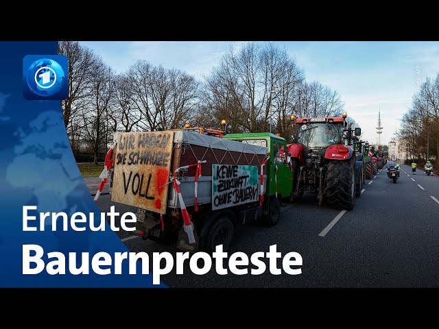 Bauernproteste in Hamburg