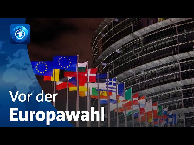 Vor Europawahl: Rechtspopulistische Parteien bekommen Zulauf