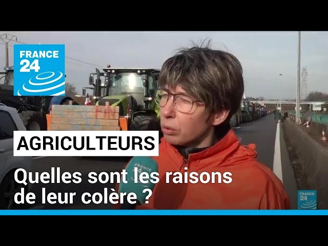 Agriculteurs français en colère : quelles sont leurs revendications ? • FRANCE 24