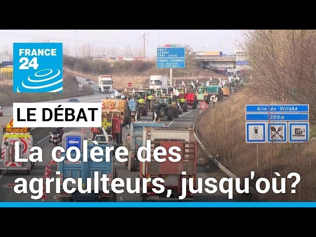 La colère des agriculteurs, jusqu'où? • FRANCE 24