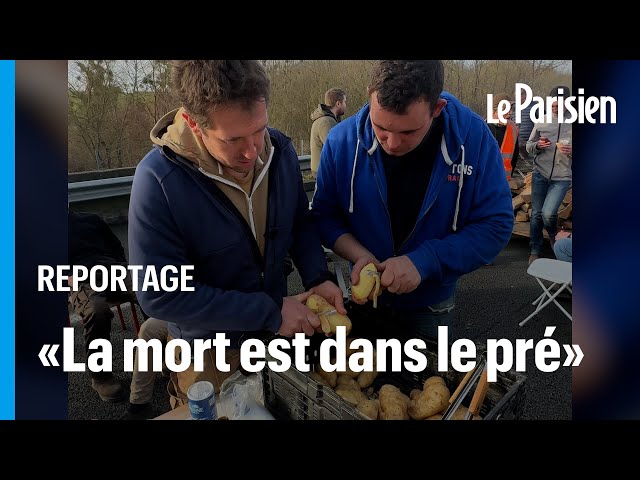 Barbecue, friteuses, bétaillère… Sur l’A1, les agriculteurs en colère parés pour le «siège de Paris»