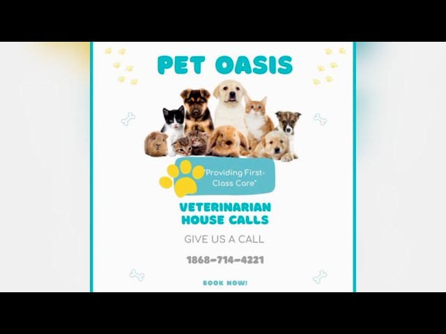 Business Insight - Pet Oasis Aims For Mobile Clinic