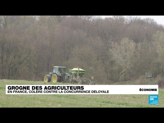 Le monde agricole français critique la "concurrence déloyale" de l'UE • FRANCE 24