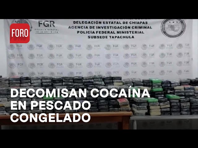 Hallan más de media tonelada de cocaína en pescado congelado en Chiapas - Las Noticias