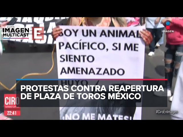 “Toros sí, toreros no”: activistas marchan contra las corridas de toros en la CDMX