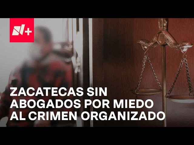 Abogados en Zacatecas dejan su profesión por miedo al crimen organizado - En Punto