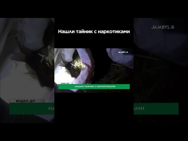 Нашли тайник с наркотиками #shortvideo #shorts #jambyltv #zhambyltv #жамбылтв #news #тараз #новости