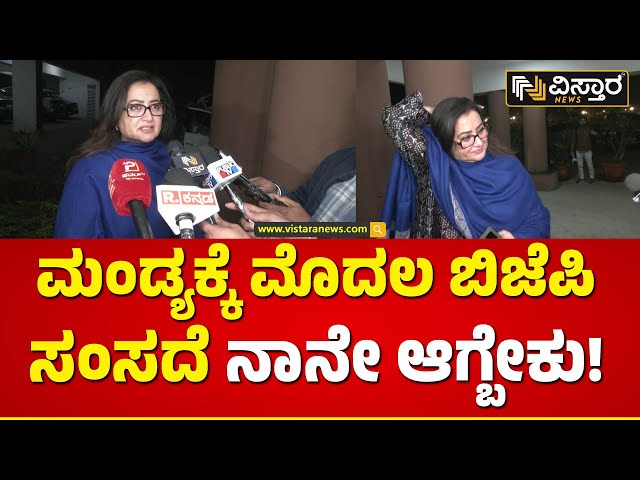 ದೆಹಲಿಯಿಂದಲೇ ದಳಪತಿಗೆಳಿಗೆ ಗೌಡ್ತಿ ಮೆಸೇಜ್! | Sumalatha Ambareesh About Mandya Lok Sabha Ticket