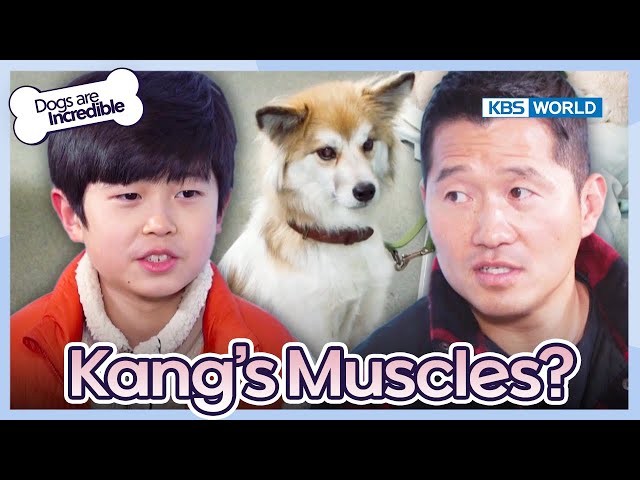 Kang’s Muscles?  [Dogs are incredible : EP.204-2] | KBS WORLD TV 240130