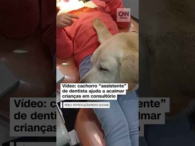 #Shorts - Cachorro “assistente” de dentista ajuda a acalmar crianças em consultório no Equador