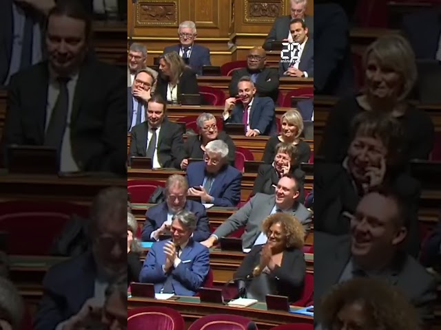 «Je suis né en 1989», quand Bruno Le Maire fait rire les sénateurs #shorts #politique  #france