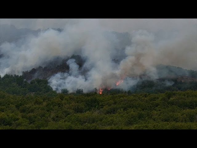 ⁣Nationalpark in Flammen: 2.000 Hektar Wald zerstört