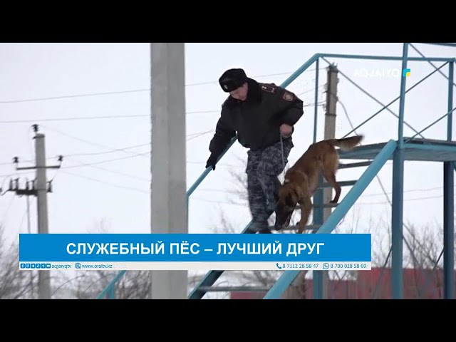 СЛУЖЕБНЫЙ ПЁС – ЛУЧШИЙ ДРУГ