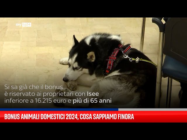 Bonus animali domestici: cosa sappiamo