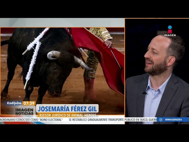 Posturas por el regreso de corridas de toros a la Plaza México | Noticias con Francisco Zea