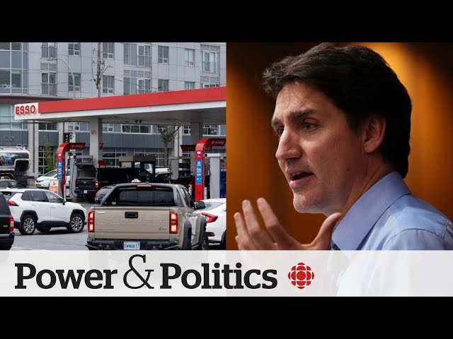 Liberals consider rebranding carbon tax program | Power & Politics