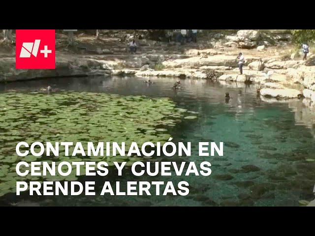 Escasez de agua: Cenotes y cuevas de Yucatán en riesgo por actividad humana - En Punto