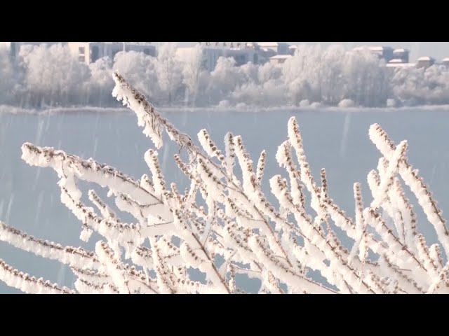 Riverside rime scenery charms residents in NE China