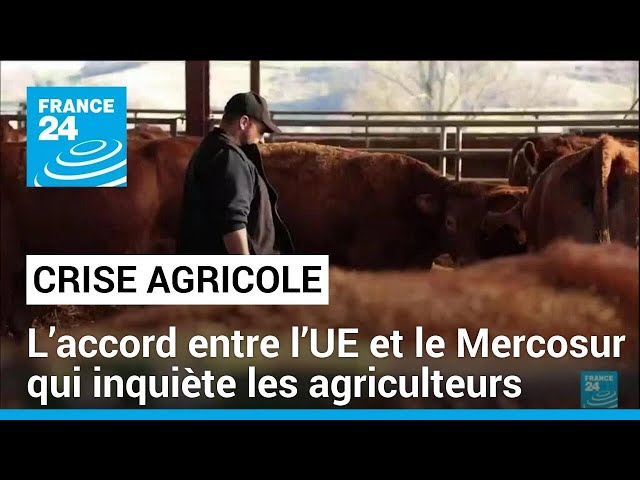 Colère des agriculteurs : que dit le traité entre l’UE et le Mercosur ? • FRANCE 24