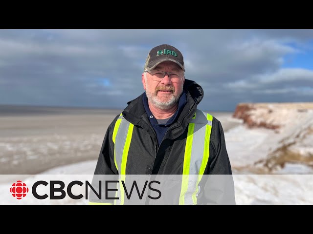 Human remains found on P.E.I. beach could be connected to shipwreck