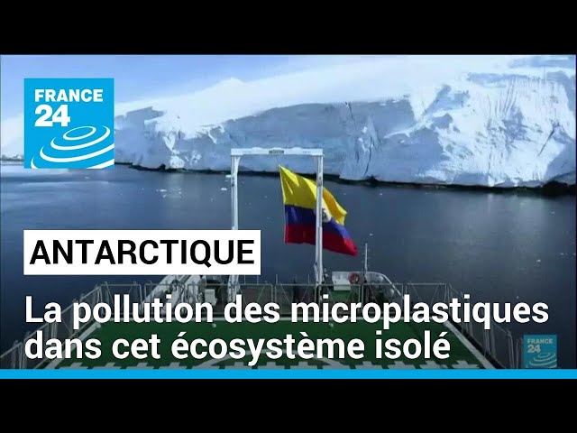 Pollution massive des mers : l'Antarctique menacé par les microplastiques • FRANCE 24