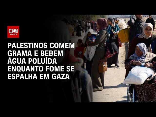 Palestinos comem grama e bebem água poluída enquanto fome se espalha em Gaza | BRASIL MEIO-DIA