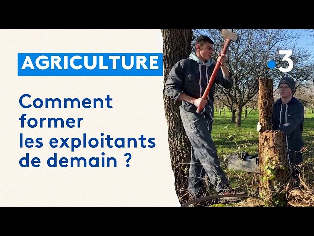 Agriculture : comment former les exploitants de demain ?