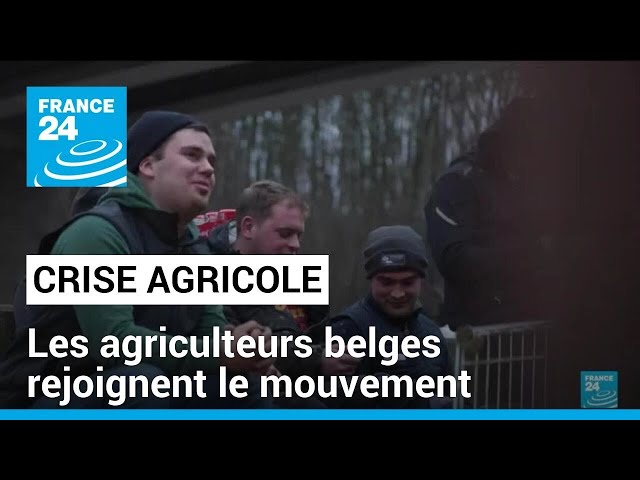 Colère agricole en Europe :  blocages des agriculteurs belges autour de Bruxelles • FRANCE 24