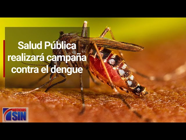 Salud Pública realizará campaña contra el dengue