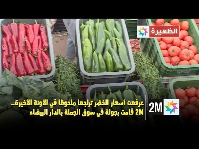 ⁣عرفعت أسعار الخضر تراجعا ملحوظا في الآونة الأخيرة.. 2M قامت بجولة في سوق الجملة بالدار البيضاء