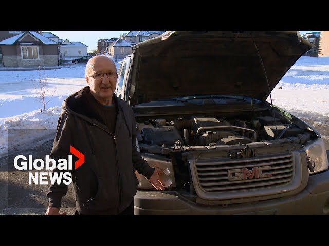 Write off or fix it? Alberta driver battles insurer Allstate after deer hits car