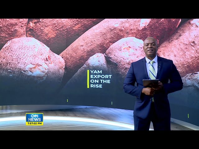 ⁣Yam Remains Most Profitable Export | News | CVMTV