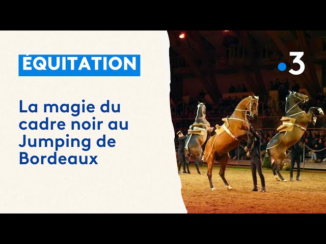 La magie du Cadre Noir, une relation unique entre le cheval et son cavalier