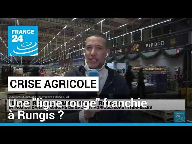 Crise agricole : une "ligne rouge" franchie au marché de Rungis • FRANCE 24