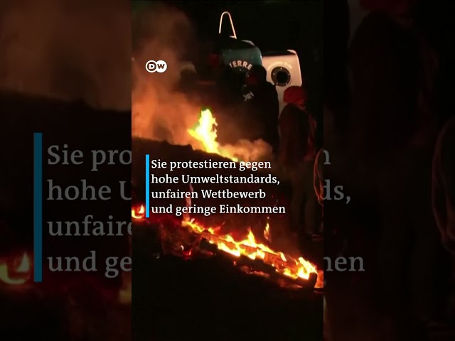 ⁣Feuer und Straßenblockaden bei Bauernprotesten vor dem EU Parlament in Brüssel