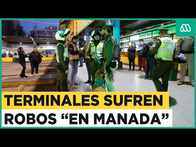 Delincuencia en terminales de buses: Banda realizaba robos "en manada" en el sector