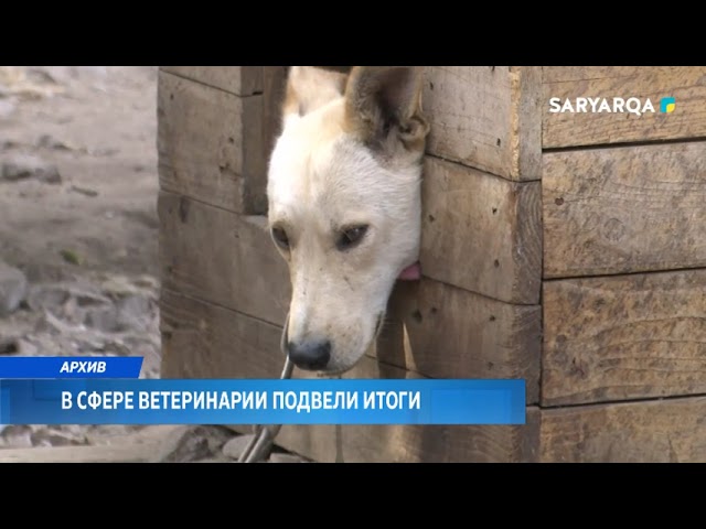 В сфере ветеринарии подвели итоги