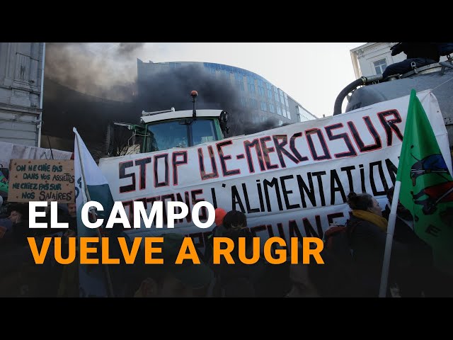 La PROTESTA de AGRICULTORES llega a BRUSELAS para que las INSTITUCIONES EUROPEAS les ESCUCHEN | RTVE