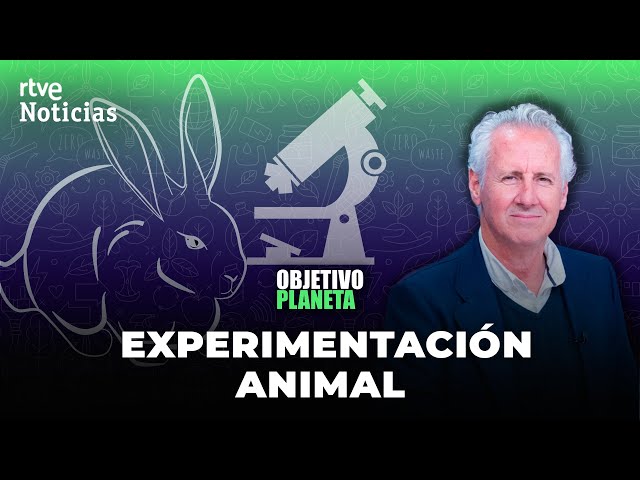 EXPERIMENTACIÓN ANIMAL EN DIRECTO: LORENZO MILÁ con MONTOLIÚ en el CENTRO NACIONAL de BIOTECNOLOGÍA