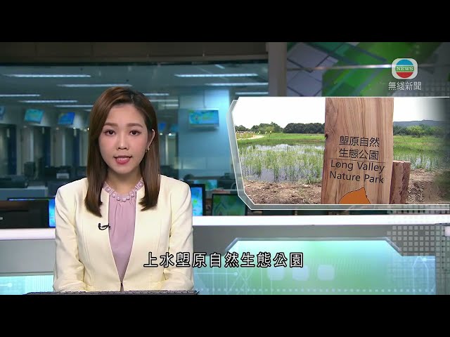 香港新聞｜無綫新聞｜01/02/24 要聞｜上水塱原自然生態公園料今年內完工 最快下半年開放參觀｜TVB News